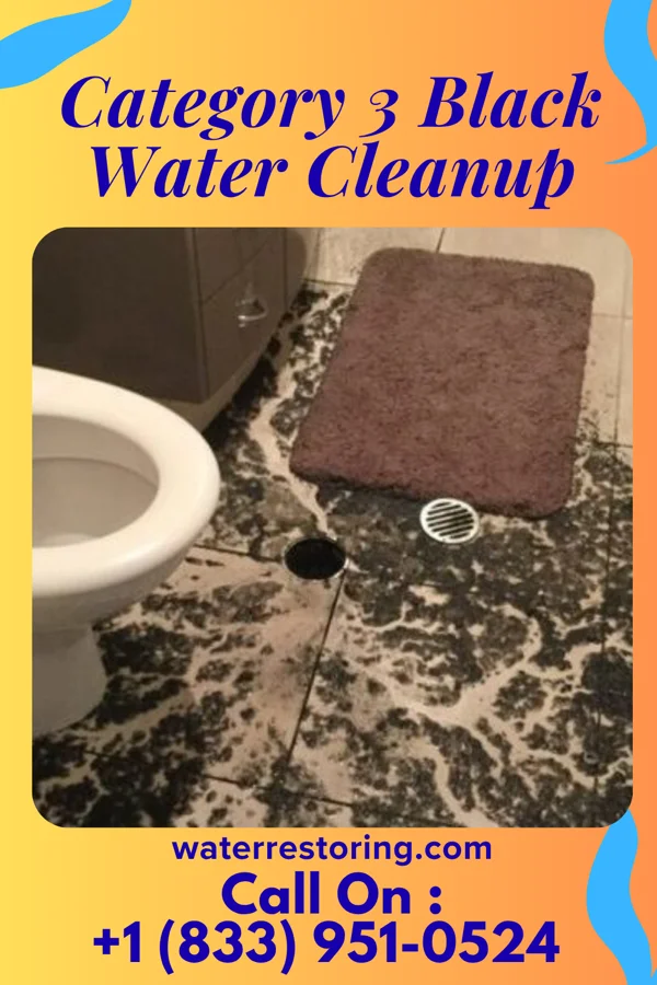 Category 3 Black Water Cleanup in Newville, PA