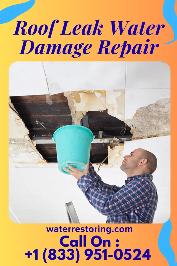 Roof Leak Water Damage Repair in Newville, PA