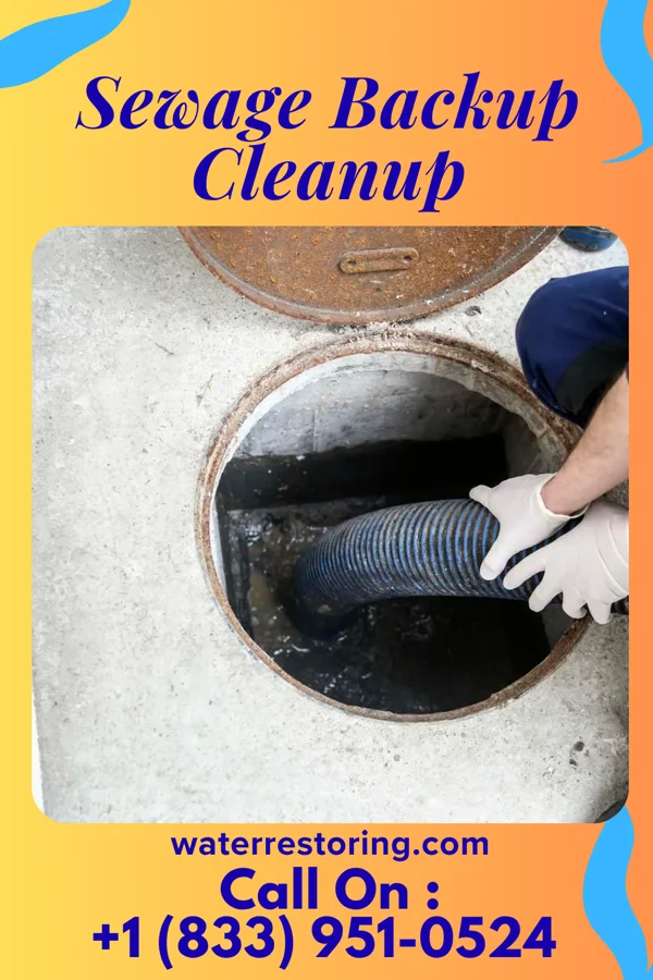 Sewage Backup Cleanup in Newville, PA