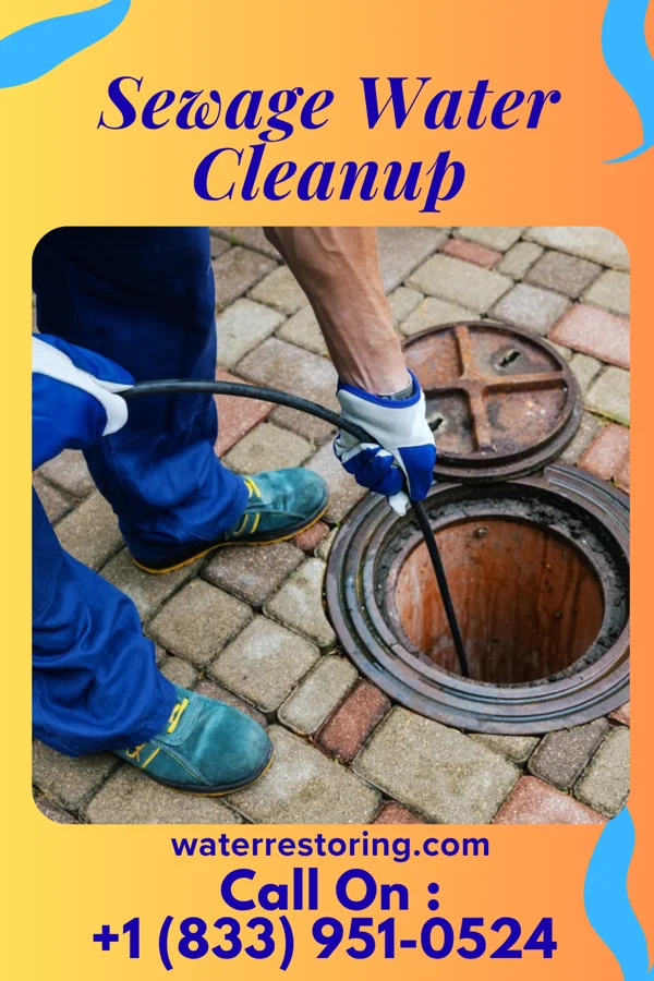 Sewage Water Cleanup in Newville, PA